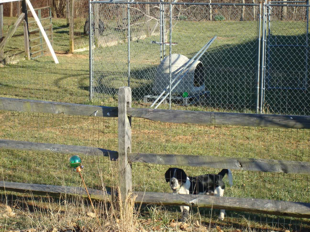 The Meads and Buddy’s Play-Yard