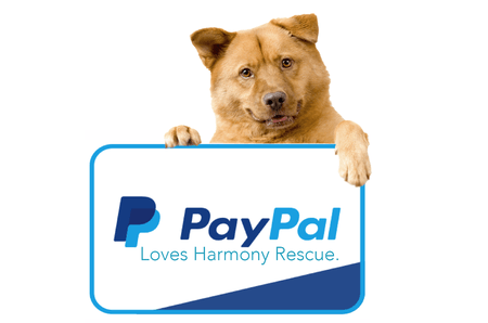 Support Our Cause Using Paypal